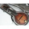 Custom GOLD TONE GM-6+ GM6+ LEFT HANDED acoustic electric MANDOLIN w/ CASE - LEFTY #1 small image