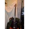 Custom ESP LTD b-104 bass guitar Plum color