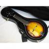 Custom GOLD TONE GM-6 6-string Mandolin style GUITAR new GM6 Solid Top w/ CASE