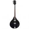Custom Luna Guitars Moonbird Acoustic-Electric Bouzouki Satin Black #1 small image