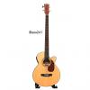 Custom Acoustic Bass Guitar 49 inch installed EQ iBass241 #1 small image