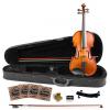 Custom Rise by Sawtooth Student Violin with Carved Solid Spruce Top &amp; Maple Back and Sides, 3/4 Size