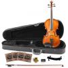 Custom Rise by Sawtooth Beginner Violin with Flame Maple Back, 3/4 Size
