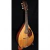 Custom Martin A Style Mandolin Natural With Case #1 small image