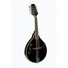 Custom Glen Burton Black Mandolin Teardrop Style with soft case Free Shipping