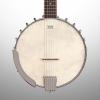 Custom Washburn B6 Banjo, 6-String