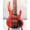 Custom ESP LTD B-1005SE 5-String Electric Bass