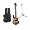 Custom Ibanez GSR206SM-NGT 6-String Electric Bass - Natural Grey Burst with Gig Bag and Stand