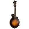 Custom The Loar &quot;F&quot; Style Mandolin Grassroots #1 small image