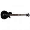 Custom ESP LTD EC-154 BLK 4-String EC Series Maple Neck Electric Bass Guitar - Black Finish (LEC154BLK)