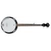 Custom Ibanez B50 5-String Banjo