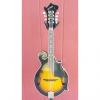 Custom Old Hickory F-Style Mandolin 2 Tone Sunburst TKL Case