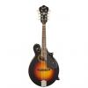 Custom Gretsch Guitars G9350 Park Avenue F-Mandolin A/E Vintage Sunburst Roots Collection F-Style Acoustic/Electric Mandolin
