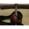 Custom The Gibson Mandolin Style A-4 1920