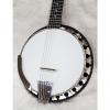 Custom Deering Boston Six String Banjo