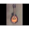 Custom Luna F style mandolin Tobacco sunburst #1 small image