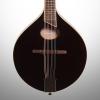 Custom Breedlove Crossover OO Mandolin (with Gig Bag), Vintage Stain #1 small image