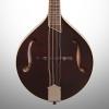 Custom Breedlove Crossover OF F-Hole Mandolin (with Gig Bag), Violin Stain