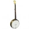 Custom Gold Tone CC-100R Cripple Creek 5 string Banjo w/ Resonator