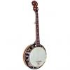 Custom Gold Tone BG-Mini Bluegrass Mini Banjo