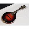Custom MICHAEL KELLY A-O A-style Oval acoustic MANDOLIN new - Antique Tobacco Burst #1 small image