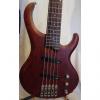 Custom Ibanez BTB 5 String Bass