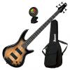 Custom Ibanez GSR205SM 5-String Electric Bass Guitar Bundle