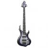 Custom ESP DY-5 PSSB Signature Series Doris Yeh 5 String Bass Guitar with Purple Silver Sunburst Finish