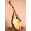Custom Lyon and Healy Style A Mandolin c.1917