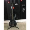 Custom Ibanez Electric Bass Guitar SR Series Iron Pewter SR300ELIPT #1 small image
