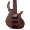Custom Elrick Gold Series 5-String E-volution Burled Maple #1 small image