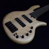 Custom Elrick Expat eVolution 5 String Natural Ash with case #1 small image