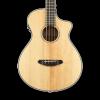 Custom Breedlove Pursuit Acoustic Bass Guitar with Gig Bag