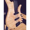 Custom Elrick E-volution 4 String Bolt On Flame Maple Top #1 small image