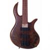 Custom Elrick Bass Guitars Gold Series 4 Strings E-Volution Bolt-On  Hand Rubbed Oil Finish #1 small image