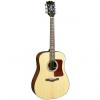 Custom Sierra SD33 Sequoia Series Dreadnought Acoustic Guitar - Gloss Natural SpruceTop
