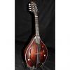 Custom Eastman MD305 Solid Spruce Top A-Style Mandolin #1 small image