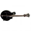 Custom The Loar LM-600 BK F Style Professional Series Mandolin Black Free Shipping and Case #1 small image