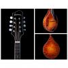 Custom Eastman Md805 A style Mandolin Adirondack Top Flame Maple Back and Sides Honey Burst - Schertler Reso-coil Pickup w/ Case