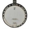 Custom Deering Sierra 5-String Banjo Maple