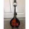 Custom Tanglewood Tme-Av Acoustic electric mandolin New #1 small image