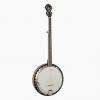 Custom Johnson Savannah 5 String Mahogany Banjo #1 small image