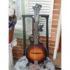 Custom The Loar Contemporary F-Style Mandolin LM-590-MS Matte Finish NEW!! Hand Carved #1 small image