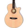 Epiphone PR-4E Acoustic/Electric Guitar Player Package #2 small image