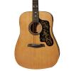 Sawtooth martin acoustic guitar Acoustic guitar martin Guitar martin strings acoustic with martin guitar accessories Black martin guitar strings Pickguard w/ custom graphic &amp; ChromaCast Accessories