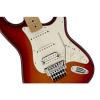 Fender Standard Stratocaster Electric Guitar - Flamed Maple Top - with Floyd Rose Locking Tremolo - Maple Fingerboard, Aged Cherry Burst