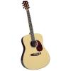 Saga SPG-1 Studio Pro Acoustic Guitar Outfit (japan import) #1 small image