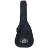Peavey Acoustic Guitar Rockmaster Pack with Bag, Stand, Tuner, Picks, and More