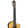 Takamine TH5C-KIT-2 Classical Nylon String Acoustic Guitar with Hard Case &amp; ChromaCast Accessories