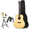 Breedlove DISCOVERY-DR Discovery Dreadnought Acoustic Guitar with Strap, Stand, Picks, Tuner, Cloth and Bag #1 small image